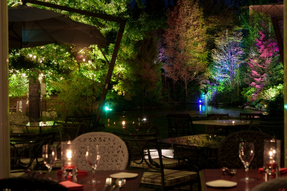 【2/7(土)】幻想的なライトアップ煌めく「ひかりの森」ジャズナイト【仙台ロイヤルパークホテル】