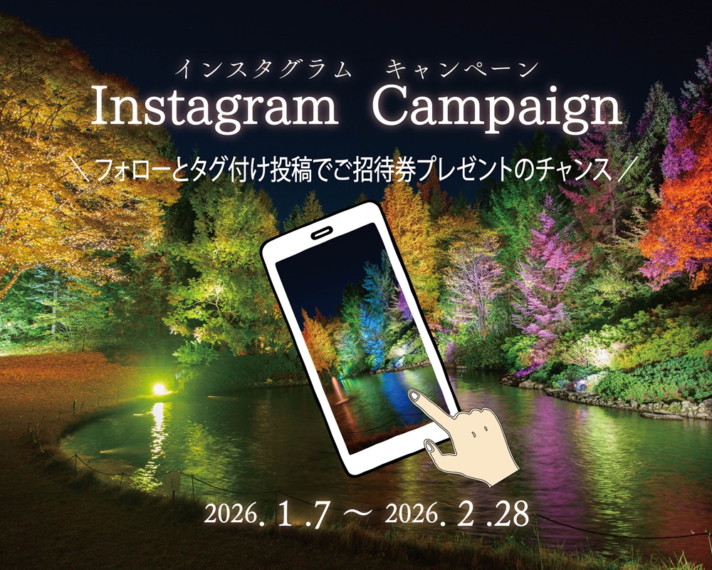 【~2/28(土)】ガーデンライトアップ “インスタグラムキャンペーン” 【仙台ロイヤルパークホテル】