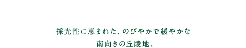 採光性に恵まれた、のびやかで穏やかな南向きの丘陵地